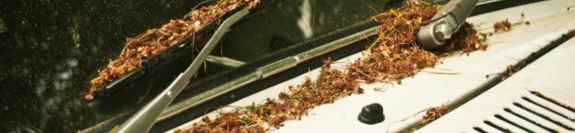 Qué es el filtro de polen y cómo actúa en nuestro coche?